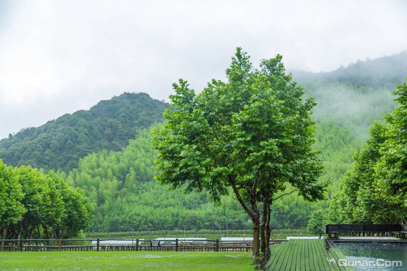 环境优美空气清新很适合度假