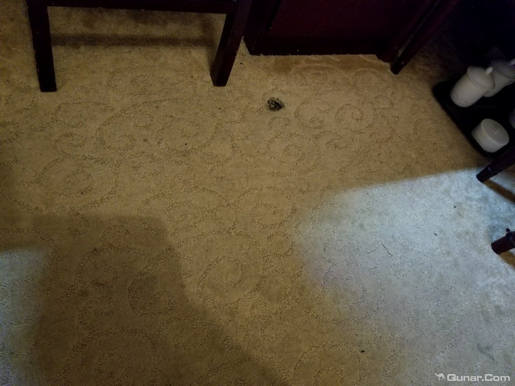 脏地毯,最令人作呕的灰尘角落
