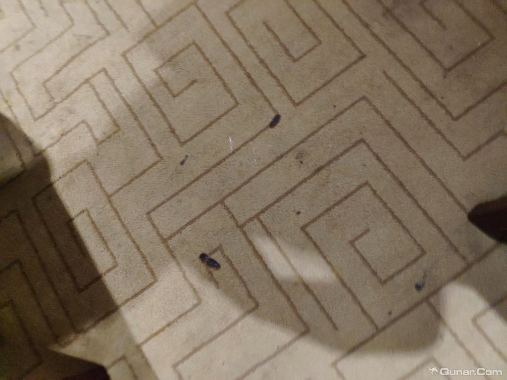 点评彭水乌江明珠大酒店