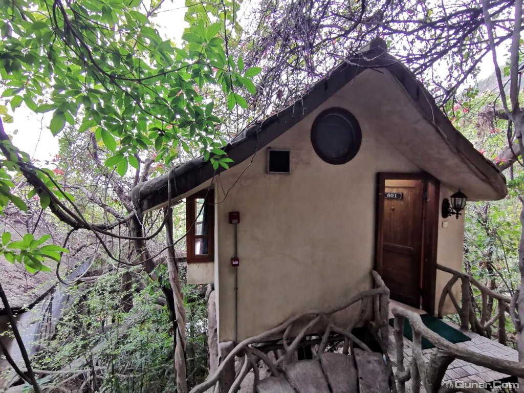 周围环境很好有在森林的感觉 may0416对深圳青青世界酒店的点评_ 去