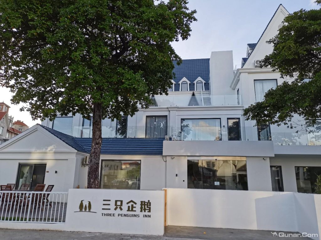 各方面都超棒 bsvg5163对三只企鹅民宿(北海银滩店)的点评_ 去哪儿网