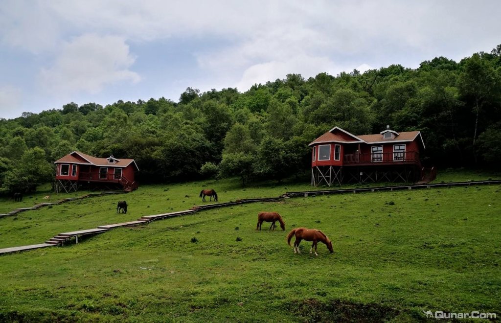 点评关山草原房车营地酒店
