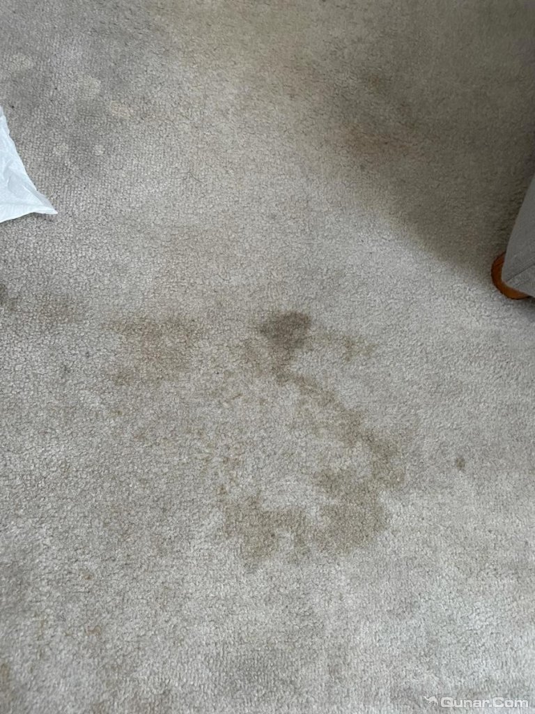 房间老旧地毯污渍很多