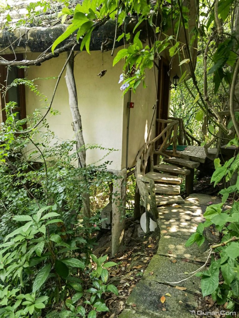 小孩住树屋很开心 tixj1916对深圳青青世界酒店的点评_ 去哪儿网-酒店